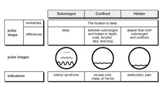 WHAT THE FIRM PULSE (CONFINED, LAO MAI) SIGNIFIES
