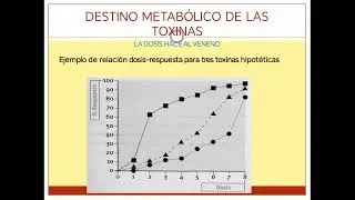 Tóxicologia Veterinaria