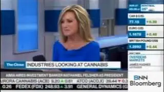 Steven Poirier Interview on BNN Bloomberg's 