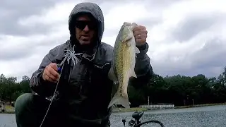 Smashing bass on Logan Martin lake early November 2025