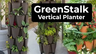 GreenStalk Vertical Planter - How to grow LOTS of plants in a small space