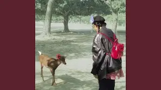 complainer