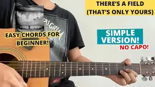 There's A Field - Daniel Caesar, Rex Orange County (Guitar Tutorial) Easy Chords For Beginner!