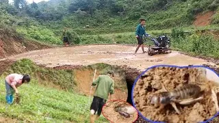 Full-day video: Couple on mini tractor working in fields, then visiting watermelon garden