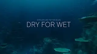 Dry for Wet &mdash; Объясняй, как будто мне пять лет, выпуск VFX: E02