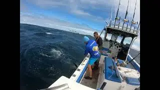 Vic Warrington Dassen Fishing Charters