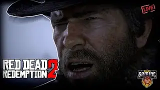 DaDoN_GaMeR Live Stream RED DEAD REDEMPTION P1