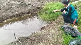 INI SPOT PARIT APA KOLAM ? KOK IKAN NYA BANYAK GINI 😂  MANCING BETOK