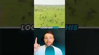Why the Sahara Desert use to be GREEN