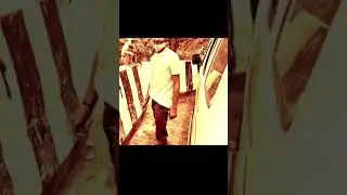 #Give snake to monkey# In Mount Abu