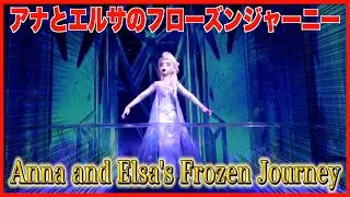 ºoº TDS 東京ディズニーシー ファンタジースプリングス アナとエルサのフローズンジャーニー ライドビューTokyoDisneySEA Anna and Elsa's Frozen Journey