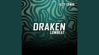 DRAKEN LOWBEAT