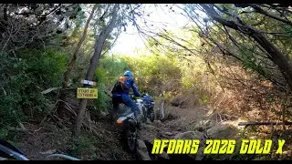 AFDAKS GOLD X 2026