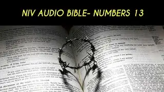 NUMBERS 13 NIV AUDIO BIBLE (with text)