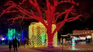 LITD Detroit Zoo Wild Lights