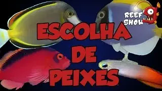 Reef Show #19 - Escolha de Peixes (2) - Aquário Marinho