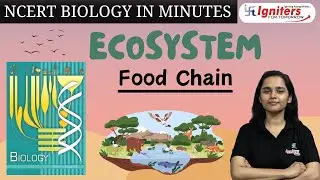 Food Chain | Ecosystem | NCERT Biology in Minutes | Class 12 & NEET