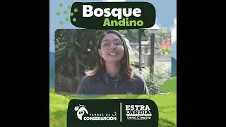 Fauna y Flora Bosque Andino