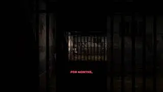 The Alcatraz Escape  Frank Morris and the Anglin Brothers' Daring Prison Break#short #AlcatrazEscape