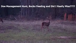 Deer Hunting | Clean Miss???? | 2024 - Episode 18 #deerhunting #hunting #alabama