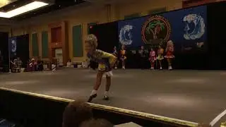 NAIDC 2018 Parade of Championships- day 4