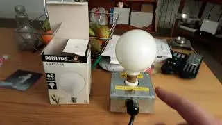 Philips 60 watt white incandescent globe light bulb