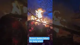 KAR &Uuml;ST&Uuml;NDE &Ccedil;AY ŞUNUN DADINI BİLENLER BOLUYA GELSİN