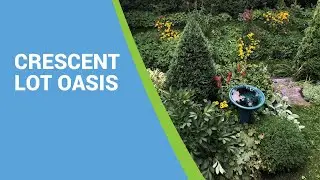 Backyard Conservation: Crescent Lot Oasis