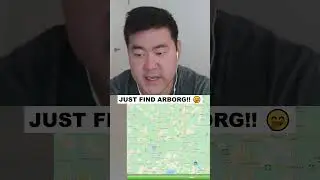 Just Find Arborg!! #geography #geoguessr #geowizard #georainbolt #googlemaps #shorts