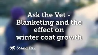 Ask the Vet - Blanketing and the effect on winter coat growth