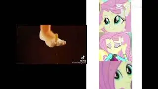 Cheetoes Memes Fluttershy Version Funny 😂😂😂 #funny #memes @CapCutofficial #mylittlepony