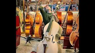 Double Bass Innovation Master Collaboration