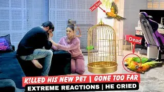 K!LLing His Pet Gone Too Far | Extreme Reactions | He Cried | Worst Mistake