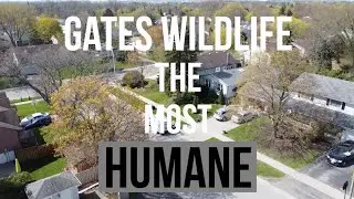 Gates Wildlife Control | What Do We Do?