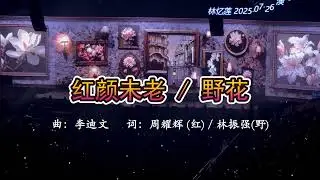 林憶蓮/林忆莲《红颜未老》&《野花》20250726 澳门演唱会