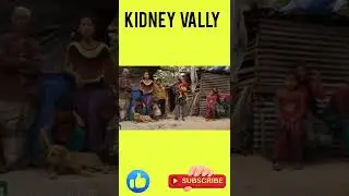 kidney valley #shorts