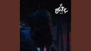 B & B