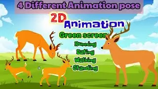 Big Horn Deer green screen | deer walking green screen | deer running green screen