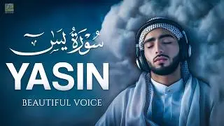 Surah Yaseen (Yasin) سورة يس | Beautiful Recitation That Brings Peace to the Soul #lofiquran
