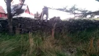 Sivert og marton
