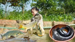 How to Trap Catfish and Catch many BIG Fish by Casting a Net | Single Life