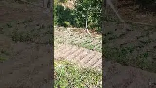 एक संदेश 