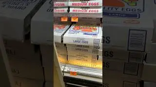 Insane egg prices continue #eggs #eggprices #inflation