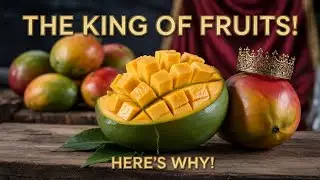 Why Mango is the King of Fruits