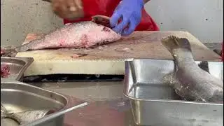 Fish cutting Day-4 | Catla Fish cutting | Fresh fish