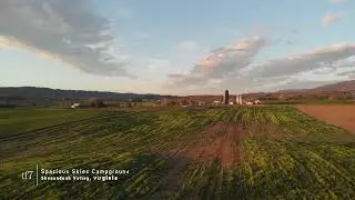Spacious Skies RV Park - Luray, Virginia