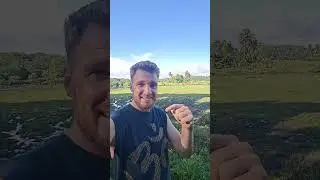 Сад в Великобритании против сада в Шри-Ланке 🤯