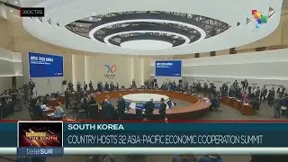 Южная Корея: страна принимает 32-й саммит Азиатско-Тихоокеанского экономического сотрудничества