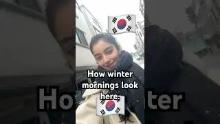 🇰🇷#korea #dailyvlog #southkorea #shortsviral #korean #snow #koreasnow #snowfall
