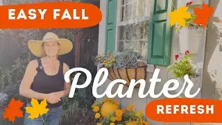 Easy Fall Planter Refresh 🌻 Autumn Plants in my window box & raised bed